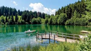 Şavşat kaymakamlığına ait resmi sitedir. Artvin Savsat Sertifikali Huzur Genc Yolcu
