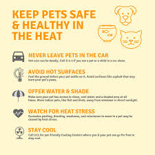 Wikipedia to follow updates to this article and more , join our newsgroup on facebook with over 140,000 members. City Of Temple City On Twitter Temperatures Are Expected To Reach 102 Degrees Tomorrow With An Excessive Heat Warning In Effect From June 15 10 A M Until June 18 9 P M Stay