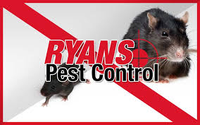 If the carpets were cleaned to a certain standard at the start of the tenancy, the tenant must ensure the carpets are cleaned to that whether or not it is appropriate for a special term to be included about professional carpet cleaning/pest control at the end of a tenancy depends on. Ryans Pest Control Wollongong Pest Control And Inspections Wollongong Illawarra Nsw