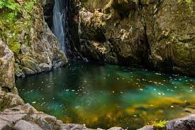The Uk S Secret Wild Swimming Spots You Didn T Know Existed Loveexploring Com Cotswold Water Park Lake Swimming Perfect Road Trip