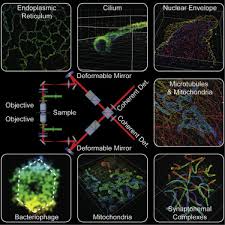 Maybe you would like to learn more about one of these? Ultra High Resolution 3d Imaging Of Whole Cells Cell
