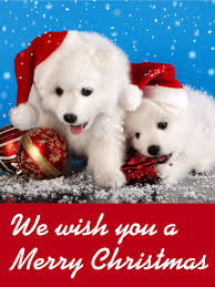 Joy and good cheer on christmas! Santa Puppies Merry Christmas Card Birthday Greeting Cards By Davia