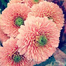 Pin On Unique Garden Ideas