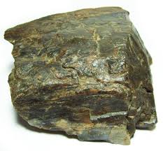 Black Petrified Wood Lapidary Rough Lapidary Material Display Specimen Pretty Rocks Rocks And Minerals Tortoise Petrified Wood