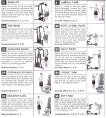 Weider 8530 Exercise Chart Gym Workout Chart At Home Gym