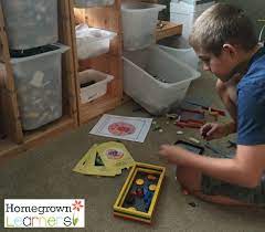 Plant cell model made of legos (by harris brickman. Lego Animal Cell Homegrown Learners