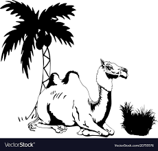 Moor wise man on camel 18cm angela tripisuitable for a nativity scene with standing characters 18cm tall.every figure from angela tripi nativity scenes is distinguished by an. Man On The Camel In Palm Trees Stock Images Page Everypixel