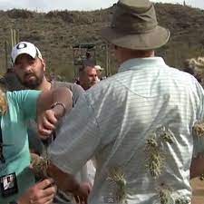Valitse laajasta valikoimasta samankaltaisia kohtauksia. Rory Mcilroy Shot Arizona Cholla Cactus Attack Camera Man At Accenture Match Play Sbnation Com