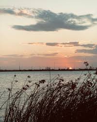 The texas department of parks and wildlife shows the biggest blue catfish ever recorded at kirby lake was just under 39 pounds, the biggest flathead catfish was 45 pounds, and the biggest channel catfish was 13 pounds. Nothing Like A West Texas Visit Abilene Texas Facebook