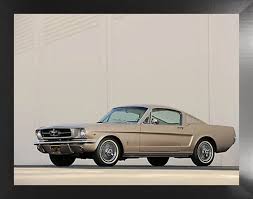 Image result for Champagne Beige 1965 Mustang