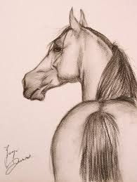 Drawing Done With Shading And Charcoal Horse Drawing Horse Drawings Animal Drawings