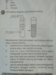 Check spelling or type a new query. Tolong Jawab Dengan Teliti Ya Brainly Co Id