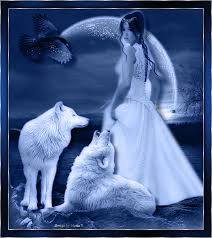 A collection of the top 62 wolf wallpapers and backgrounds available for download for free. 402 Wolf Gifs Gif Abyss Page 6