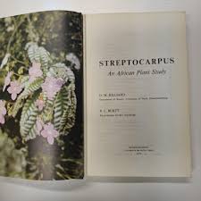 Image result for Streptocarpus hirtinervis