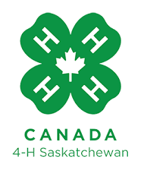 How well do you know your disney and other classic cartoon trivia? 4h Saskatchewan Holds Virtual Agm Prince Albert Daily Herald