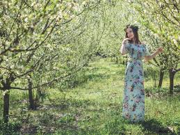 Si tratta di alberi con fusti imponenti oppure di media altezza, caratterizzati dalla presenza di fiori che in alcuni casi si presentano riuniti in infiorescenze, mentre in altri casi rimangono isolati. Giovane Bella Bruna Donna In Lungo Vestito Primavera Fiori Alberi Foto D Archivio Crushpixel