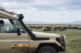 Consider your budget, and what it gets you. African Owned Tour And Safari Operator Tanzanian Safari Company
