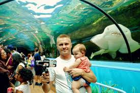 Things To Do In Darling Harbour For Kids Adults Family Fun In Sydney Darling Harbour Australian Travel Sea Life