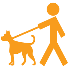 Come visit our center to see how our qualified teachers make learning fun while following the kentucky early. The Dog Zone Dog Boarding Longview Wa