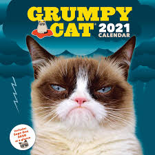 Welcome to our family.this is a cat lovers fun group. Grumpy Cat 2021 Wall Calendar Cranky Kitty Monthly Calendar Funny Internet Meme 12 Month Calendar Grumpy Cat 9781452177359 Amazon Com Books