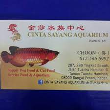 If you could call an area here chinatown. Guppy Breeder Home Facebook