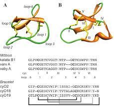 Image result for Spermacoce sphaerostigma