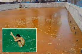 (in fact, the female divers acted as if they didn't notice what should you keep in mind if you encounter a green pool? Abandoned Pool Used During The Olympics In Rio De Janeiro Turns A Rusty Orange After Another Turned Green During The Games