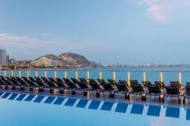 Image result for Melia