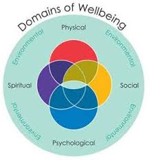 Well Being Occupational Health Occupational Health And Safety Positive Psychology