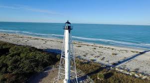 Image result for Faroa pusilla