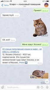 Rubbing 18 syahrini / syahri. Hosico Cat Telegram Stickers Facebook