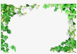 How to paint a basic leaf with watercolors | ehow. Green Leaves Frame Transparent Background Border Leaves Transparent Png 4000x2600 Free Download On Nicepng