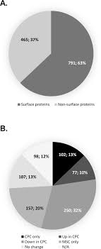 Maybe you would like to learn more about one of these? Molecular Phenotyping Of The Surfaceome Of Migratory Chondroprogenitors And Mesenchymal Stem Cells Using Biotinylation Glycocapture And Quantitative Lc Ms Ms Proteomic Analysis Scientific Reports