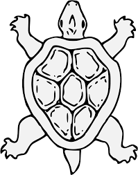 Wallpaper hitam putih anime hd gambar kartun lucu dan imut hitam putih banyak manfaat dan nasihat dari film kartun dan film sinetron jaman now hanya mementingkan jaman now. Tortoise Gambar Kura Kura Kartun Hitam Putih Clipart Full Size Clipart 1217185 Pinclipart
