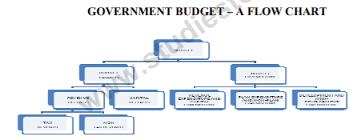 Cbse Class 12 Ecomonics Government Budget And The Economy