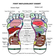 Free Foot Reflexology Charts 35 Free Printables Word Pdf