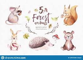 Cute Baby Animal Nursery Mouse Rabbit And Bear Isolated Illustration For Children Watercolor Boho Forest Drawing Stock Illustration Illustration Of Bunny Cartoon 129757456