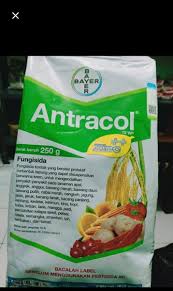 Lada ini dipanen ketika buah berwarna merah terang. Jual Fungisida Antracol 70 Wp 250 Gram Di Lapak Mitratani Barokah Bukalapak