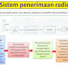Biologi sains tingkatan 5 v bab 1 mikroorganisma. 1