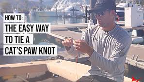 Free cat loops, samples, audio, stock sounds downloads. How To The Easy Way To Tie A Cat S Paw Knot Inthebite