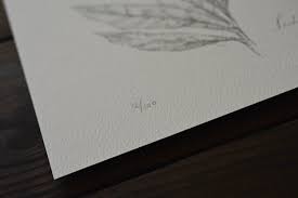 Image result for Pechuel-Loeschea leubnitziae