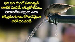 Du kan søke i fritekst, men ikke alle ord i basen er søkbare. Smallest Quotes In Telugu Birthday Wishes In Telugu 12 Heart Touching Quotes In Telugu With Images