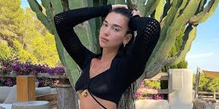 Search by tag or locations, view users photos and videos. Dua Lipa Just Gave Me A Fever With This Hot See Through Knit Crop Top