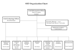 information technology organizational chart information