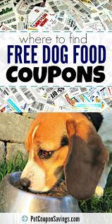 Here's another 10 foods that are approved to feed your dog! Free Dog Food Coupons Save Money In No Time In 2020 Free Dog Food Dog Food Coupons Food Coupon