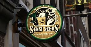 Sensi seeds bv is one of the oldest marijuana seed banks in the world. Sensi Seeds Review 2021 10buds Cannabis Growing Guide