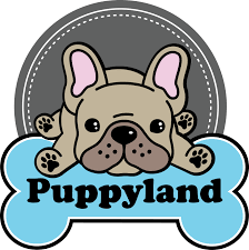 Find The Puppy Of Your Dreams At Puppyland Teacup Puppies Cute Teacup Puppies Happy Puppy