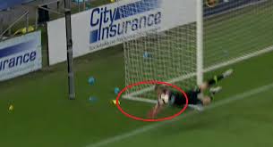 Franklincovey company, nyse stock symbol fc. Now On Pro Tv Fcsb 2 1 Rapid Wien Vlad What A Fool The Fcsb Goalkeeper Turns The Austrians Into Golou Www Sport Ro