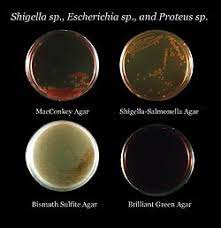 These events include the duplication of its dna (dna replication) and some of its organelles, and subsequently the partitioning of its cytoplasm and other components into two daughter cells in a process called cell division. Growth Medium Wikipedia