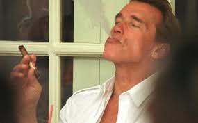 Adam gibson (schwarzenegger) returns home after working with his friend hank morgan (rapaport), only to find a. Arnold Schwarzenegger As A Ponytailed Car Salesman We Re Buying What He S Selling Boston Herald